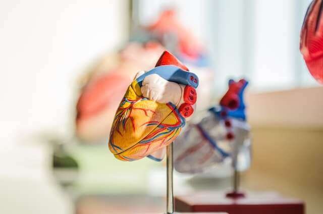 Electrocardiograma a domicilio