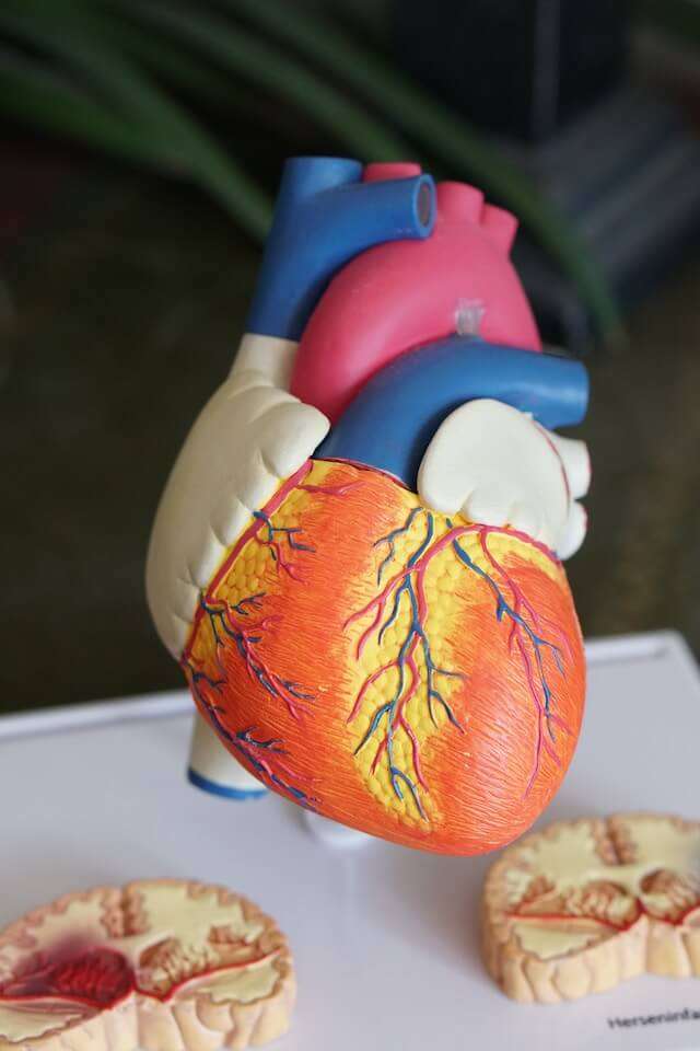 electrocardiogramadomicilio